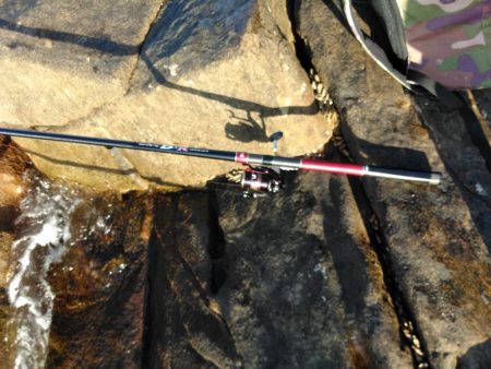 フカセ‥最高ですネ・・