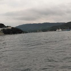 フカセ‥最高ですネ・・