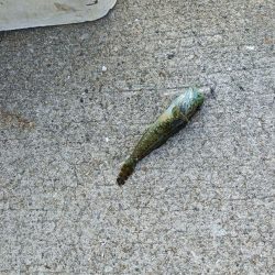 ~風の強い夕方に~