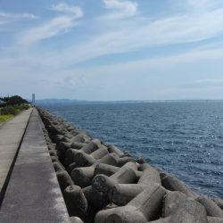 ギリボウズ逃れ