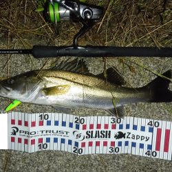 水位の高いコンディションでのカケアガリの攻め