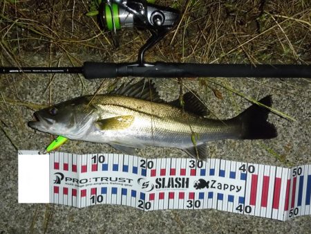 水位の高いコンディションでのカケアガリの攻め