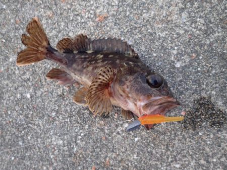 終了間際に会心の一撃(^^)