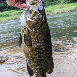 栄光のRJペンシル