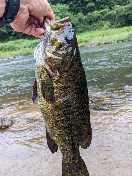 栄光のRJペンシル