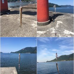 ジグサビキで爆釣!