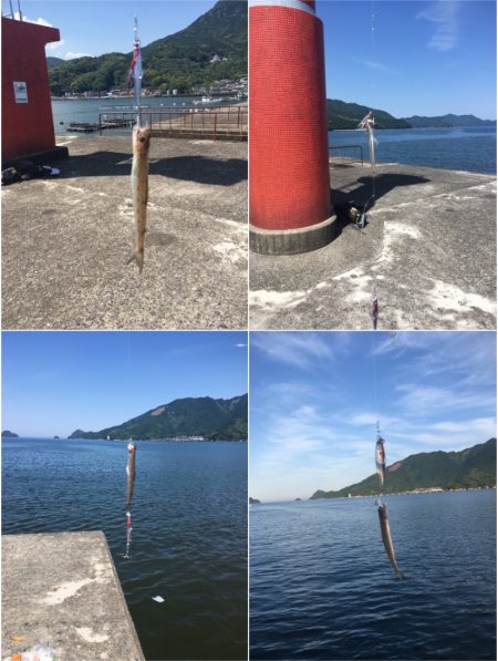 ジグサビキで爆釣!