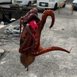 タコ釣り🐙