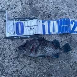 6月22日ヒラメ釣行!