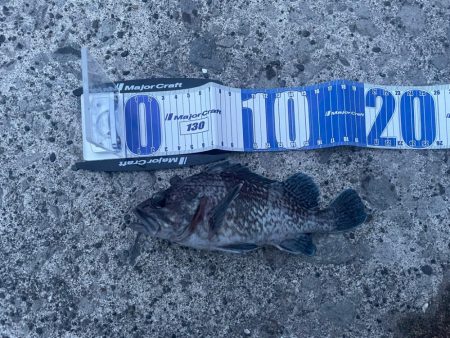 6月22日ヒラメ釣行!