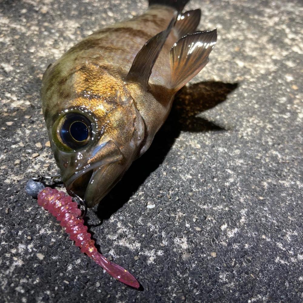 とにかく、釣りを楽しむ！