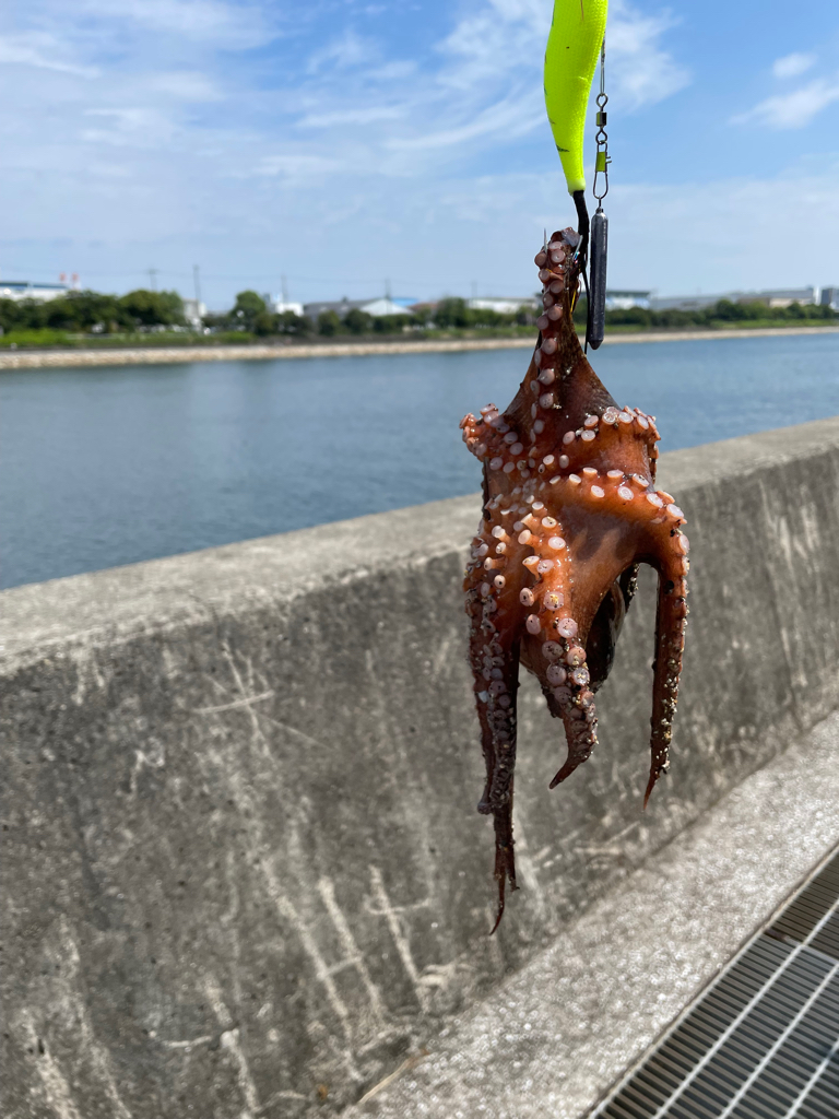 デジャブー⁉️⁉️