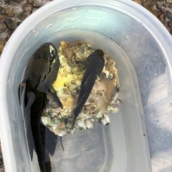 楽しい夕方のひと時(^ ^)