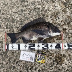 朝の満潮付近の時間帯