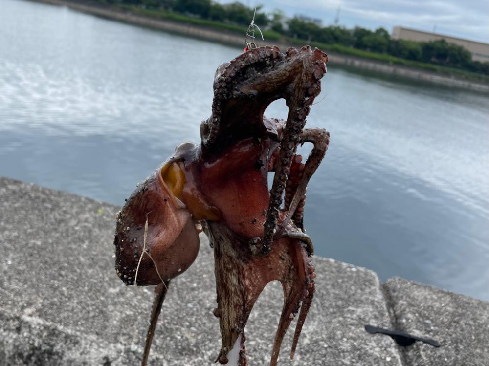 2022初釣果⁉️⁉️