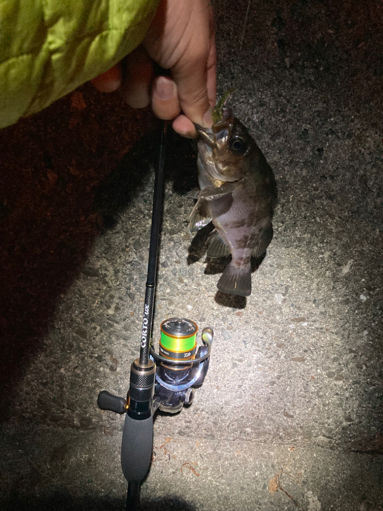 寄り道メバリング