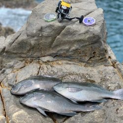 尾長を求めてパート2