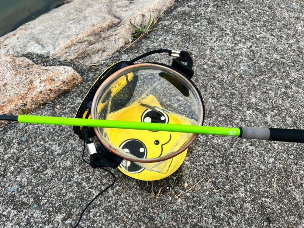 テナガエビ釣りなのに