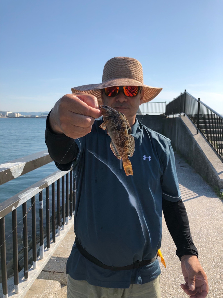 貝塚水路でアナゴ、タコ新子、アブシンかい