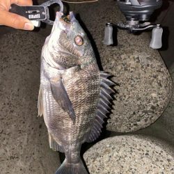 爆風でチニング半袖だと^_^ 寒すぎ