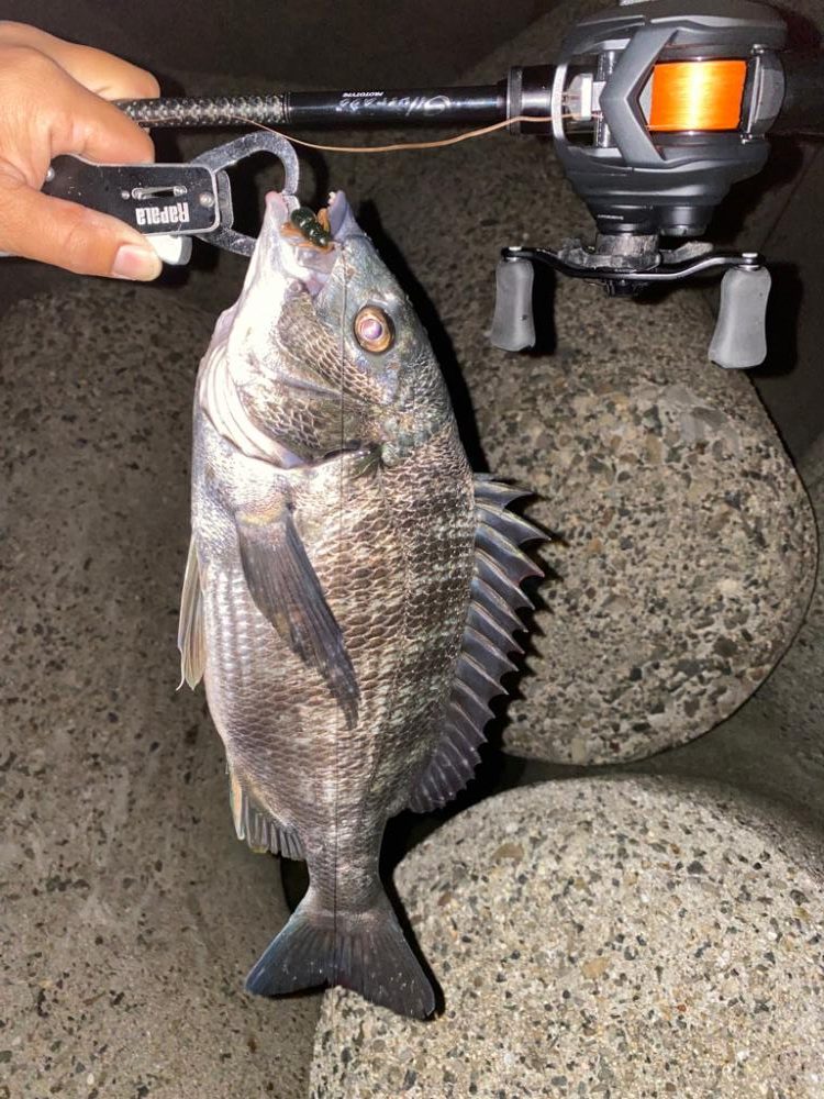 爆風でチニング半袖だと^_^ 寒すぎ