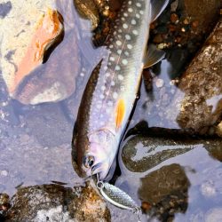 渓流ルアー