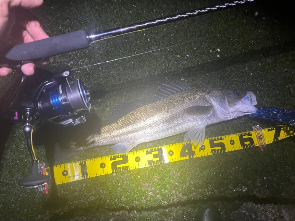 初ウェーディング