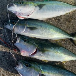 ブルーハンター