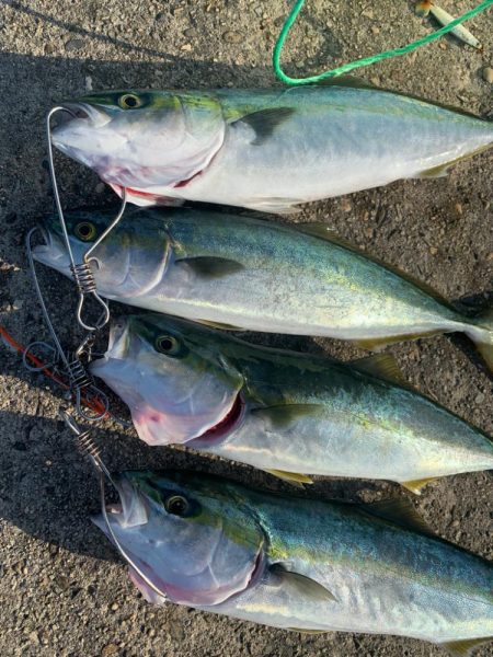 ブルーハンター