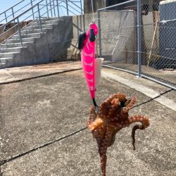 ⭐︎Are you ready?