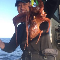 明石タコエギング