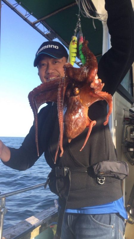 明石タコエギング