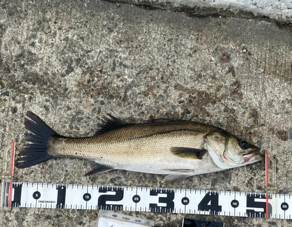 天気回復。更に