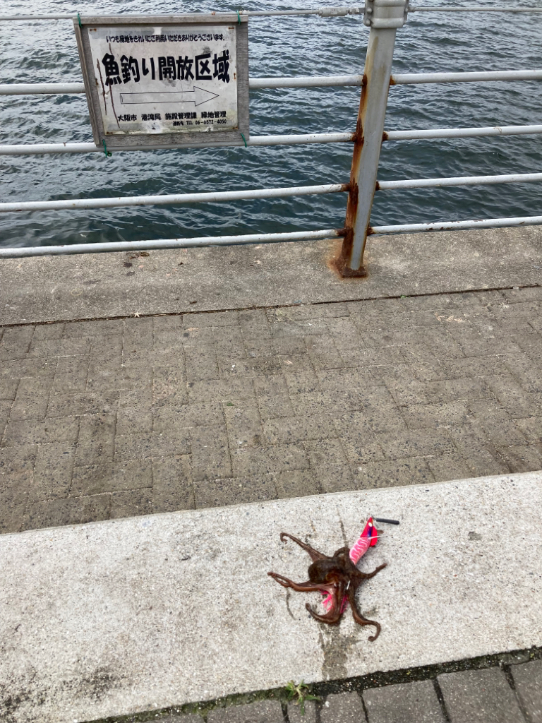 ⭐︎繰り返す。私は何度でも繰り返す。