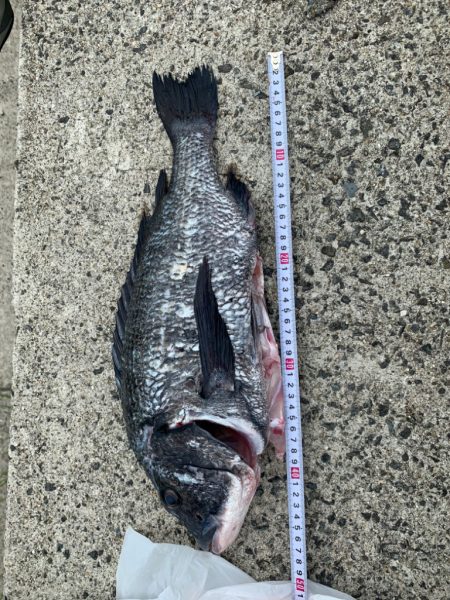 年無しには少し及ばず…