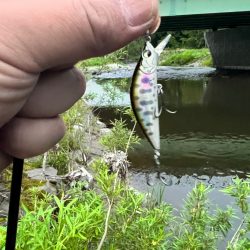 渓流ルアーフィッシング