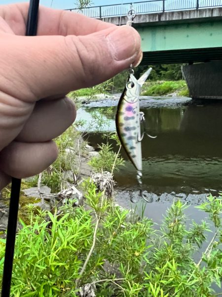 渓流ルアーフィッシング