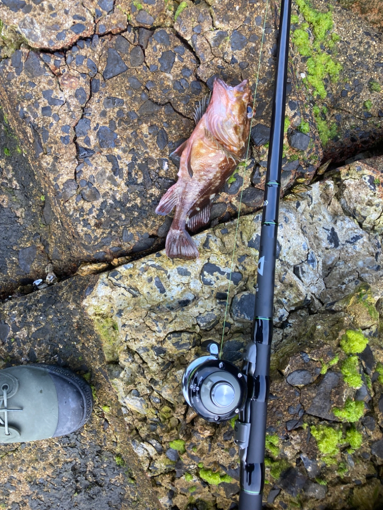 2022釣行37日目/穴釣り14回目