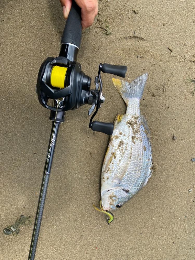 カフェオレの濁りチニング