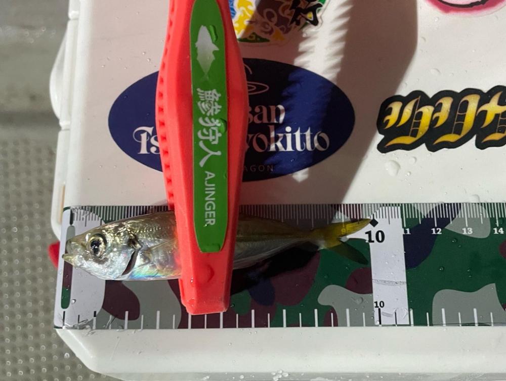 ボートアジング2回目