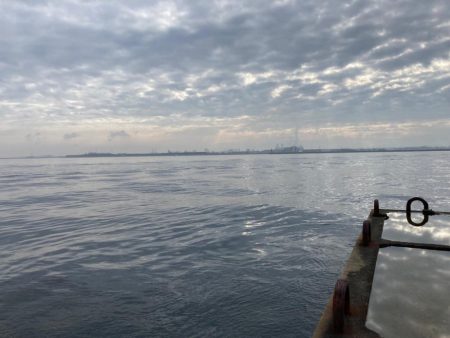 岸和田一文字にツバスの大群来襲にゃ!?