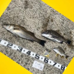 諦めず場所移動