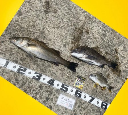 諦めず場所移動