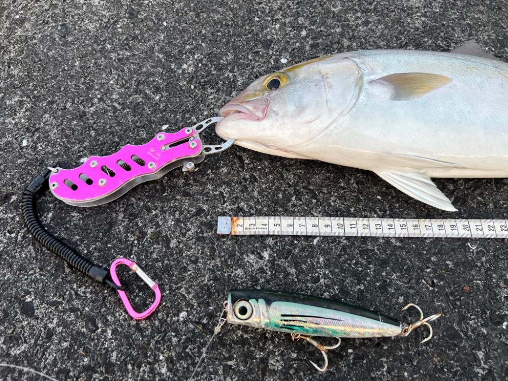 久しぶりに水面の魔術師(笑)