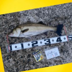 ウキが消し込み下へと引き込む