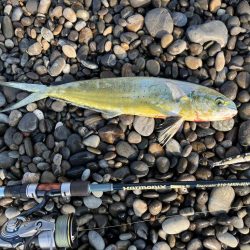 やっぱりジャックアイエースの飛距離は武器になる!