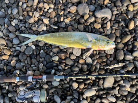 やっぱりジャックアイエースの飛距離は武器になる!