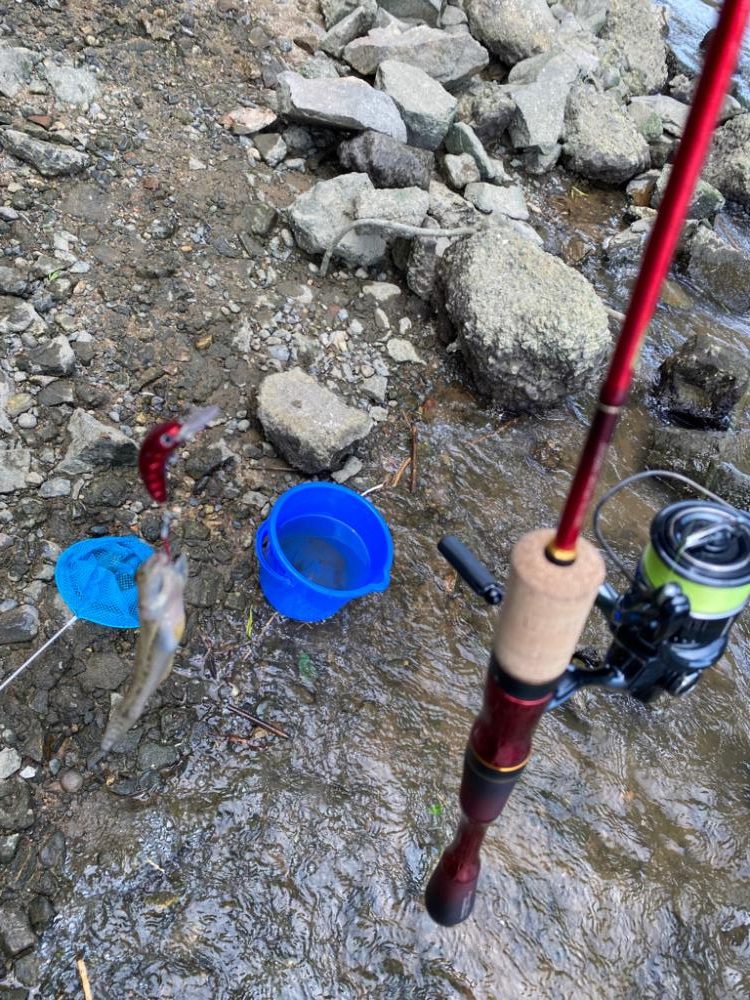 ハゼクランク　淀川釣るのは超簡単