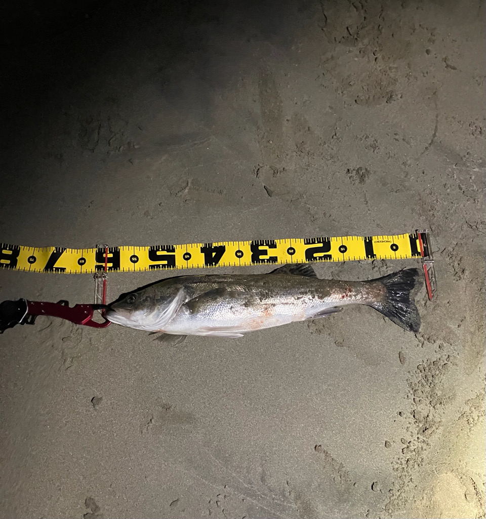 親父たちの釣行