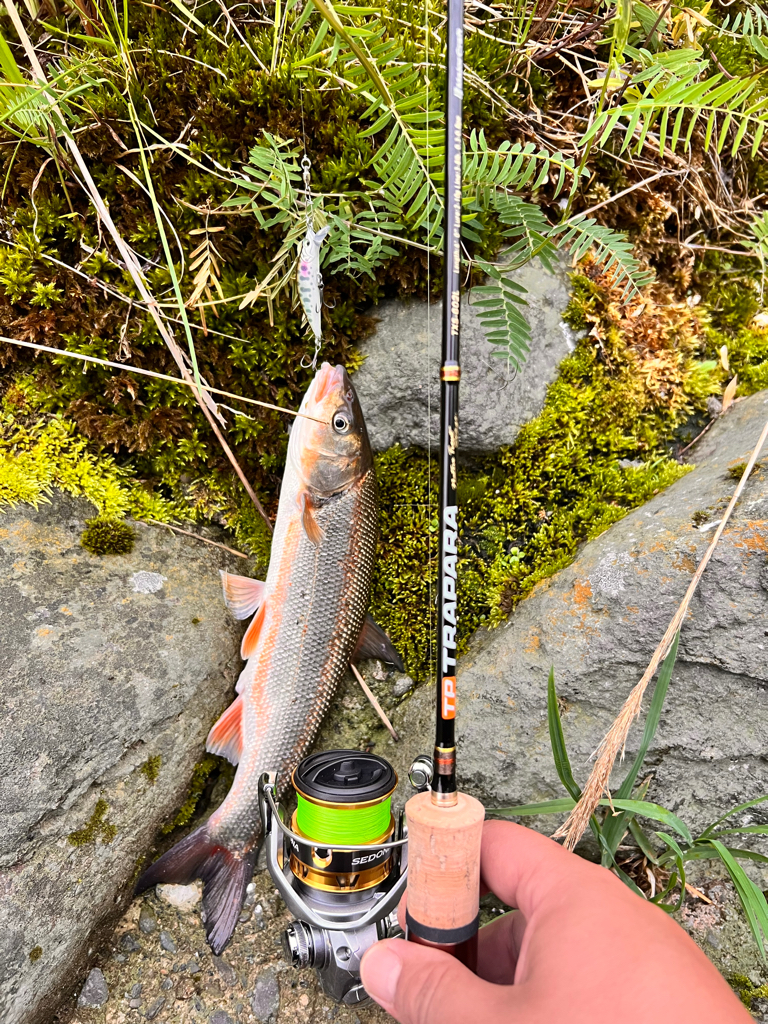 渓流ルアーフィッシング